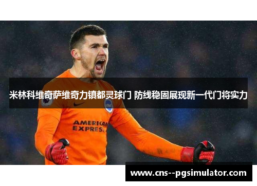 米林科维奇萨维奇力镇都灵球门 防线稳固展现新一代门将实力