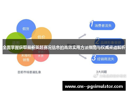 全面掌握获取最新英超赛况信息的高效实用方法指南与权威渠道解析