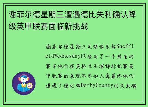 谢菲尔德星期三遭遇德比失利确认降级英甲联赛面临新挑战